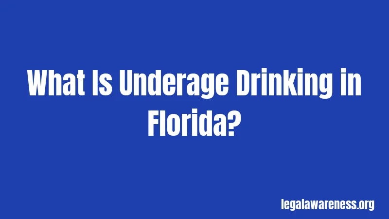 What Is Underage Drinking in Florida?