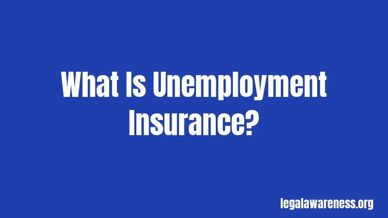 Michigan Unemployment Laws (2026): Your Complete Survival Guide 1 What Is Unemployment Insurance?