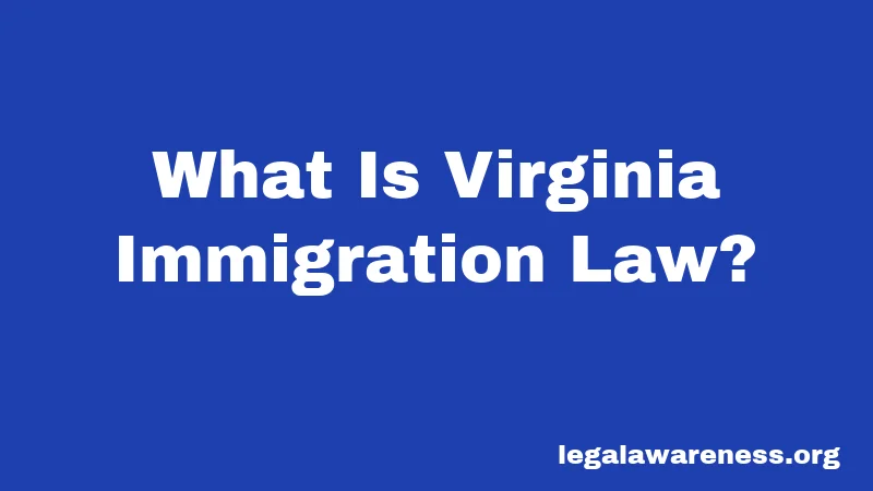 What Is Virginia Immigration Law?