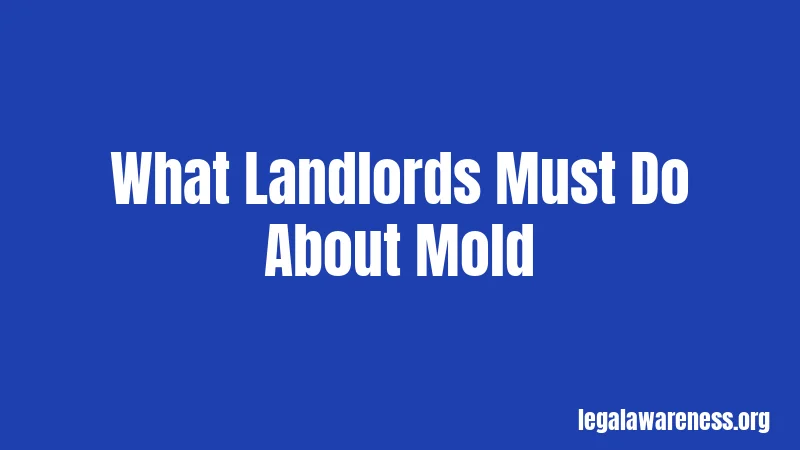 What Landlords Must Do About Mold