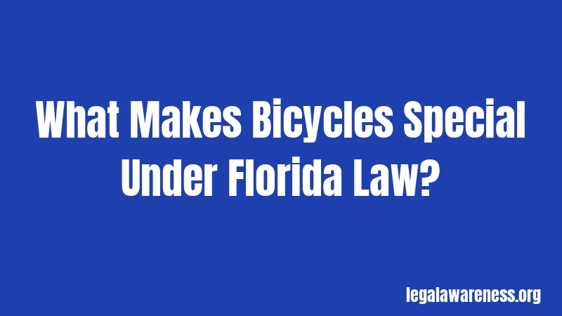 What Makes Bicycles Special Under Florida Law?