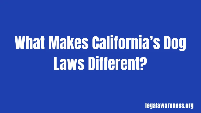 What Makes California’s Dog Laws Different?