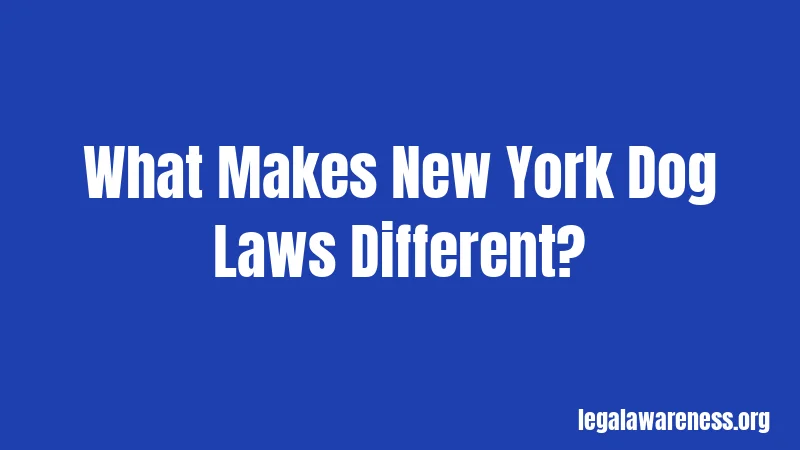 What Makes New York Dog Laws Different?
