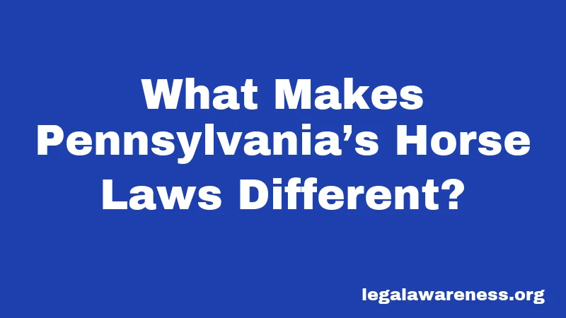 What Makes Pennsylvania’s Horse Laws Different?