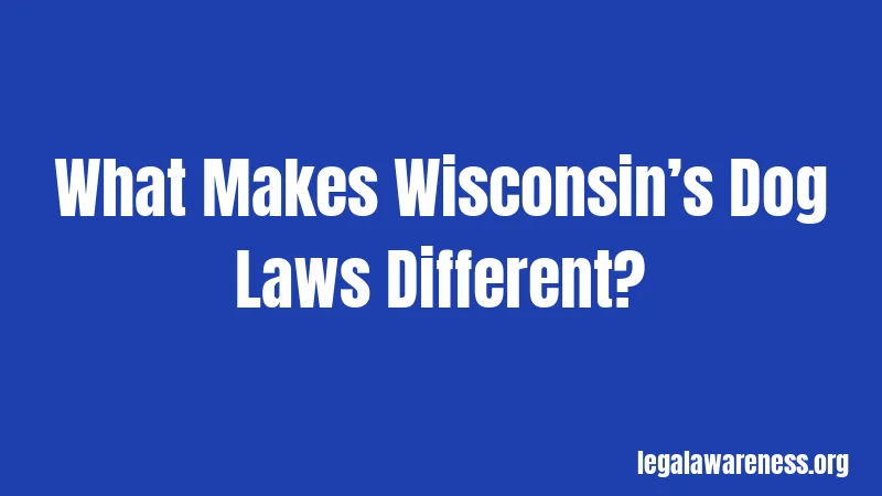 What Makes Wisconsin’s Dog Laws Different?