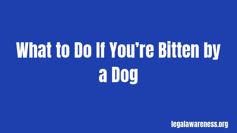 What to Do If You’re Bitten by a Dog