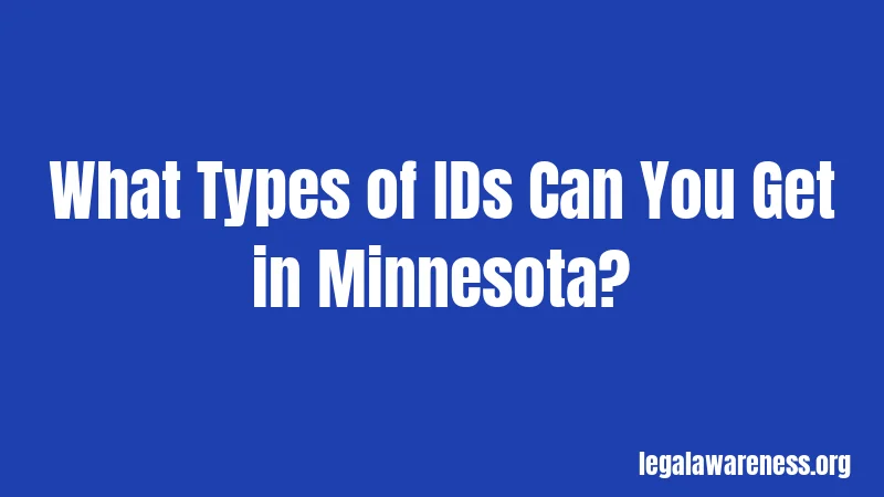 What Types of IDs Can You Get in Minnesota?
