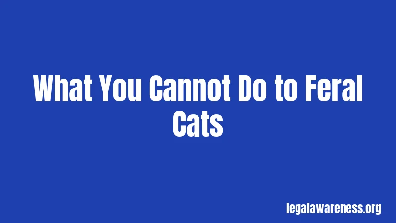 What You Cannot Do to Feral Cats