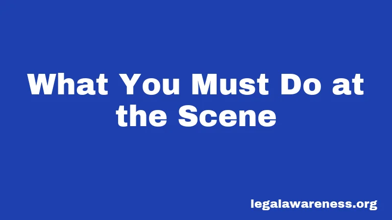 Illinois Hit and Run Laws (2026): Why Staying at the Scene Matters 2 What You Must Do at the Scene