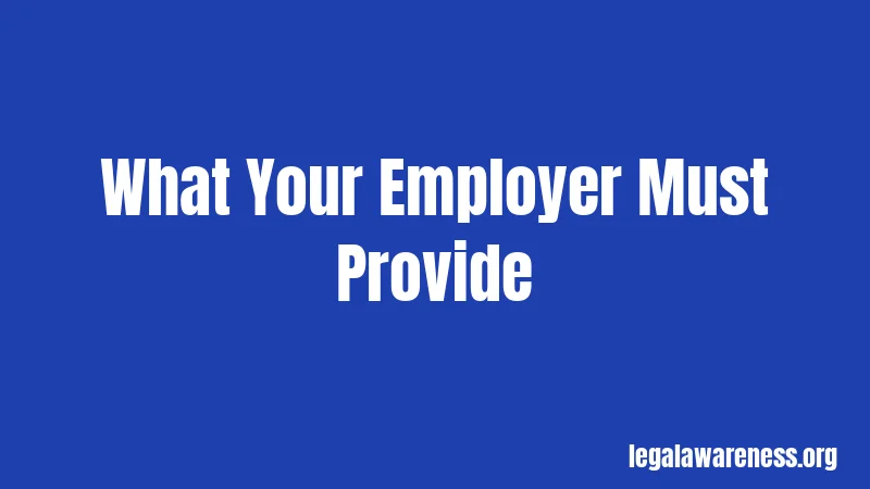 What Your Employer Must Provide