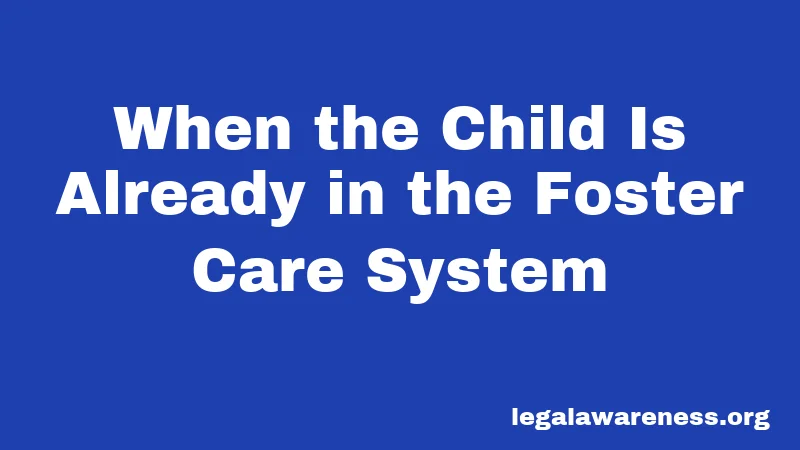 When the Child Is Already in the Foster Care System