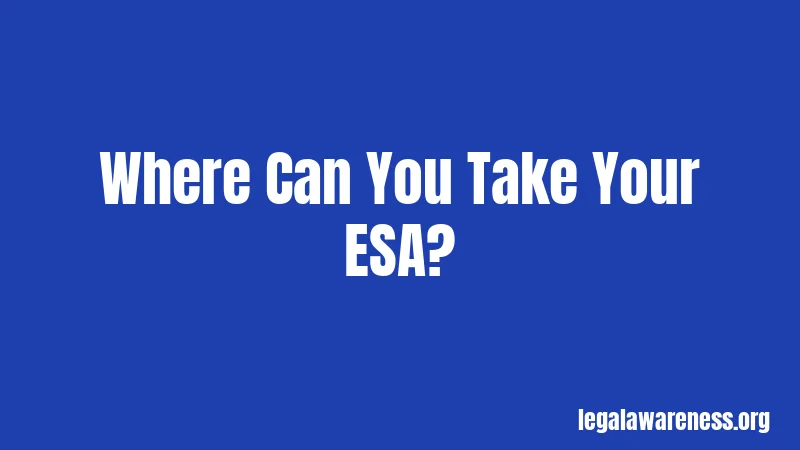 Where Can You Take Your ESA?