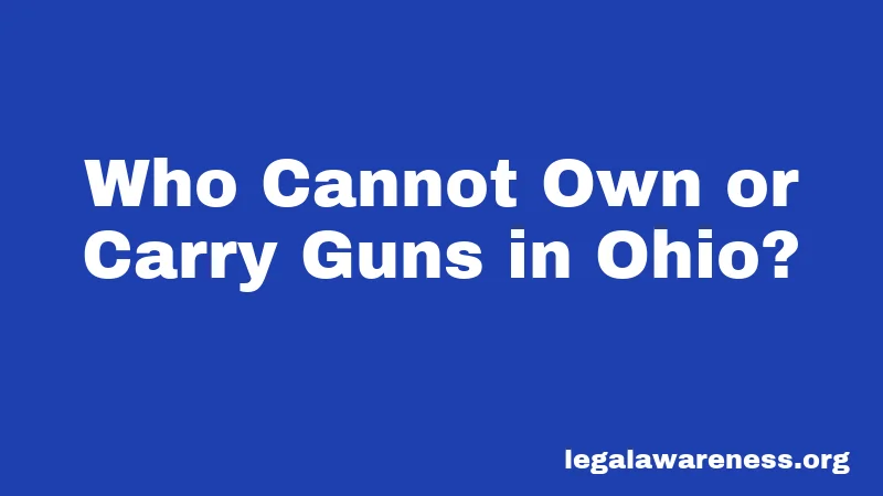 Who Cannot Own or Carry Guns in Ohio?