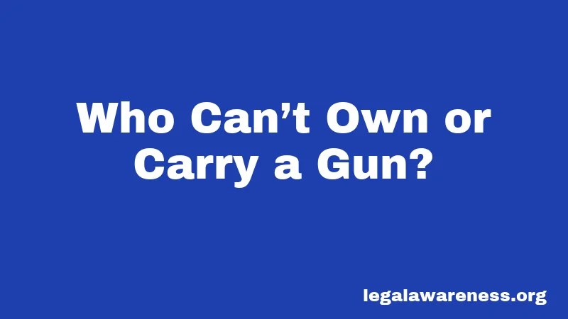 Who Can’t Own or Carry a Gun?